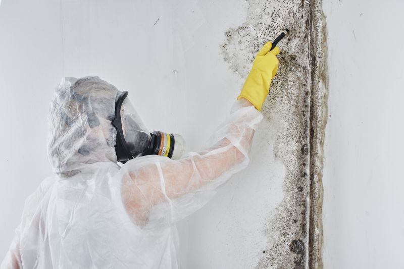 Mold Prevention and Control