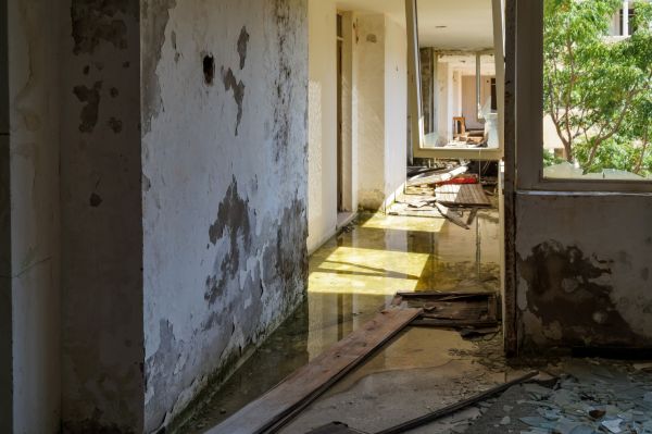 Cost of Water Removal Service in Alpharetta