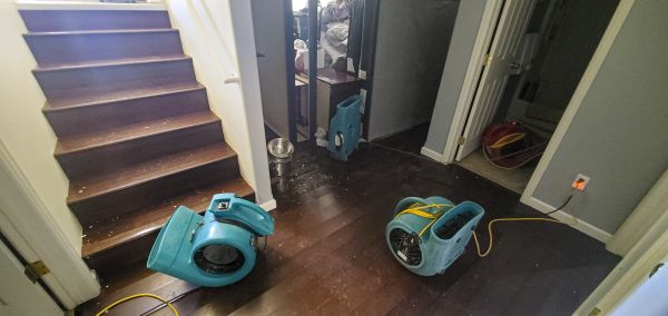 Cost of Water Damage Remediation in Alpharetta