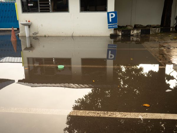 Cost of Storm Damage Repair in Alpharetta