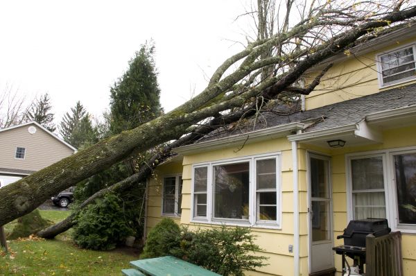Cost of Hurricane Damage Repair in Alpharetta